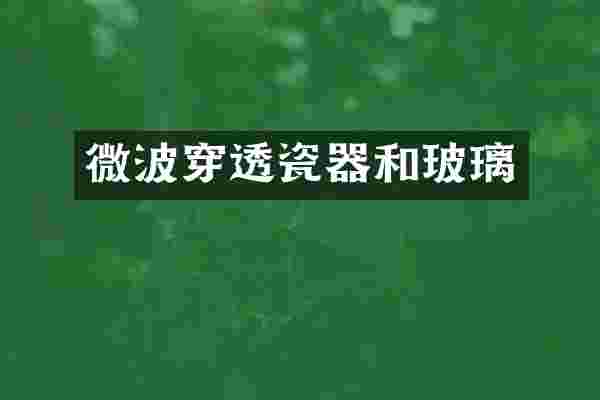 微波穿透瓷器和玻璃
