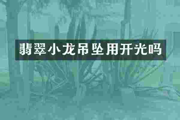 翡翠小龙吊坠用开光吗
