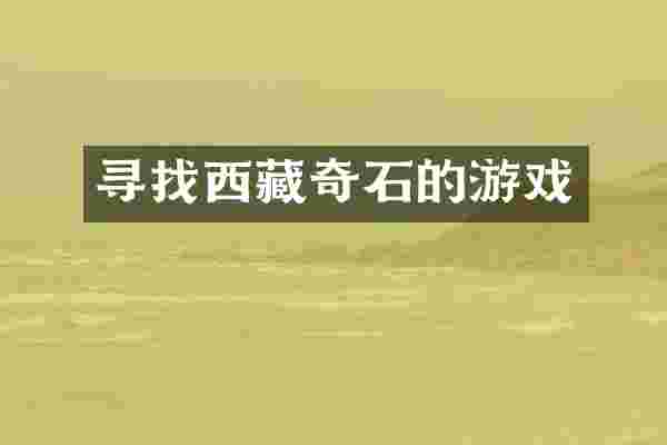 寻找西藏奇石的游戏