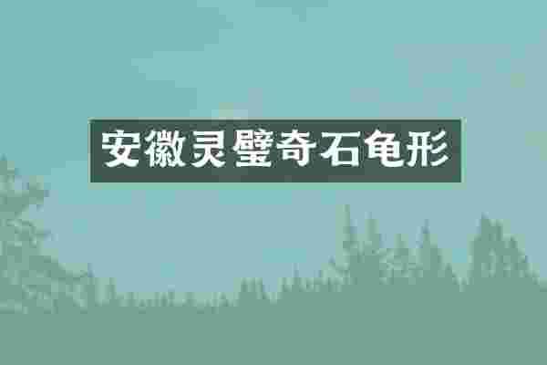 安徽灵璧奇石龟形