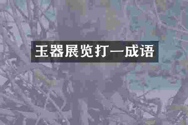 玉器展览打一成语