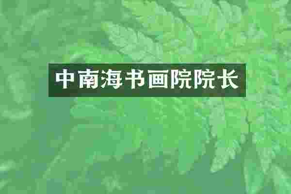 中南海书画院院长