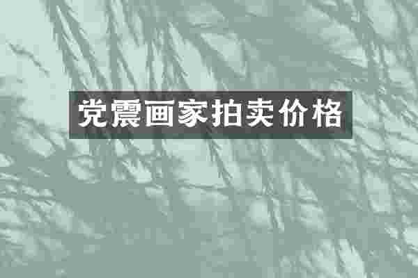 党震画家拍卖价格