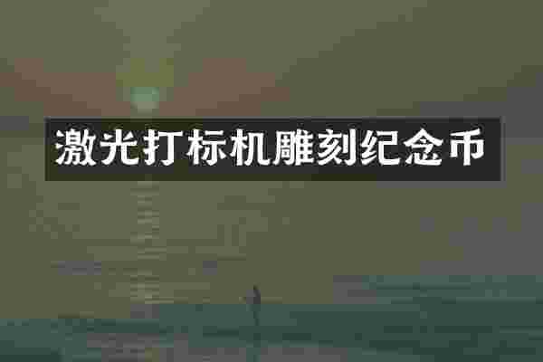 激光打标机雕刻纪念币