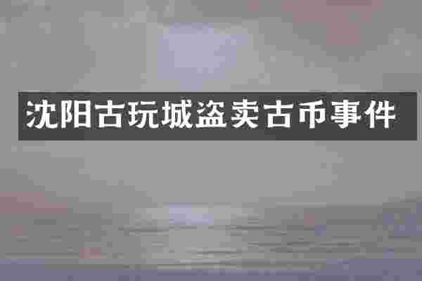 沈阳古玩城盗卖古币事件