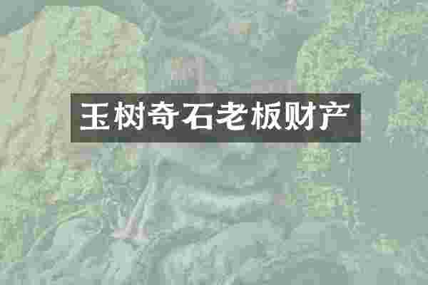 玉树奇石老板财产