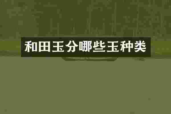 和田玉分哪些玉种类