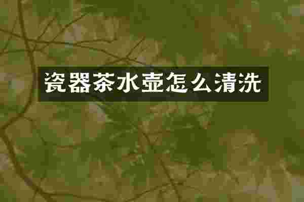 瓷器茶水壶怎么清洗