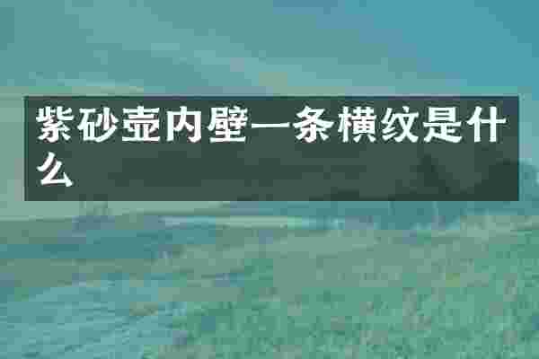 紫砂壶内壁一条横纹是什么