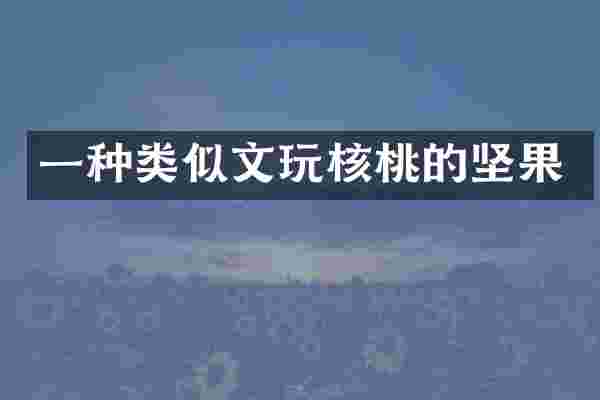 一种类似文玩核桃的坚果