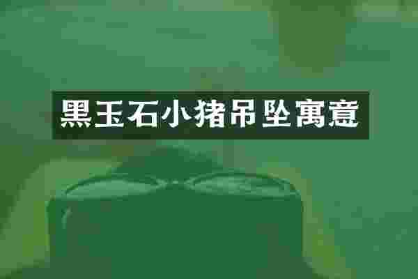 黑玉石小猪吊坠寓意