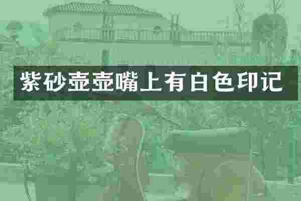 紫砂壶壶嘴上有白色印记