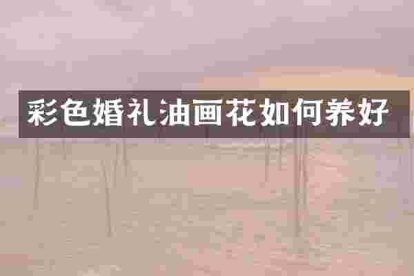 彩色婚礼油画花如何养好