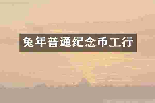 兔年普通纪念币工行