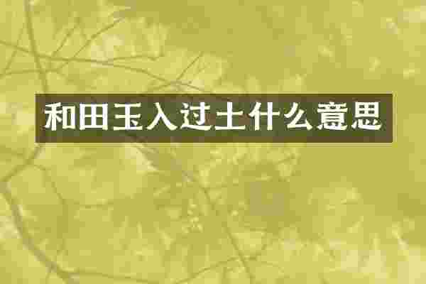 和田玉入过土什么意思
