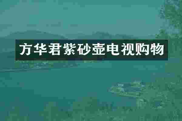 方华君紫砂壶电视购物