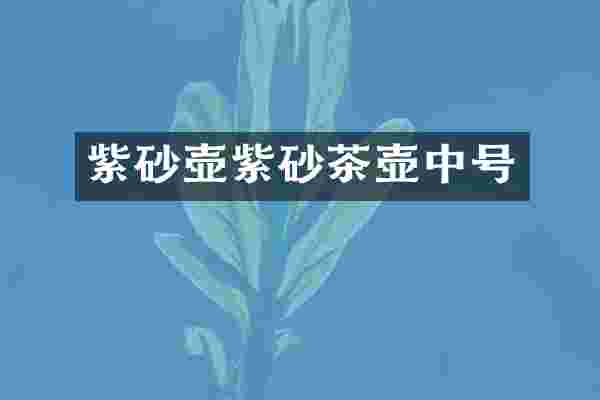 紫砂壶紫砂茶壶中号