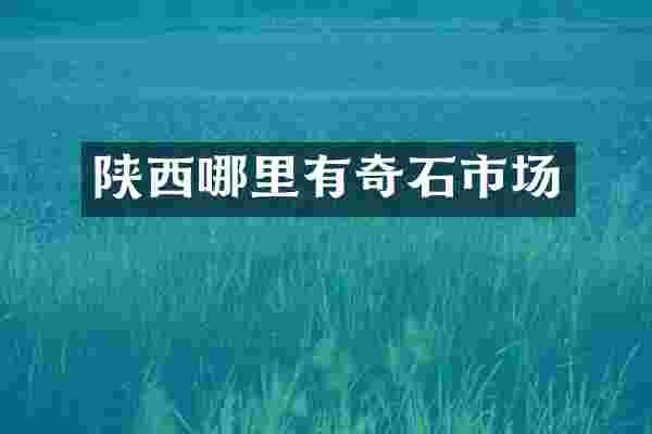 陕西哪里有奇石市场