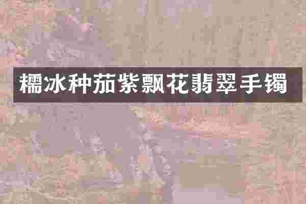 糯冰种茄紫飘花翡翠手镯