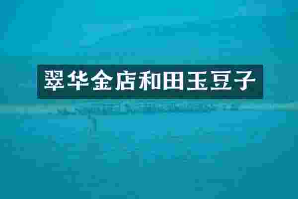 翠华金店和田玉豆子