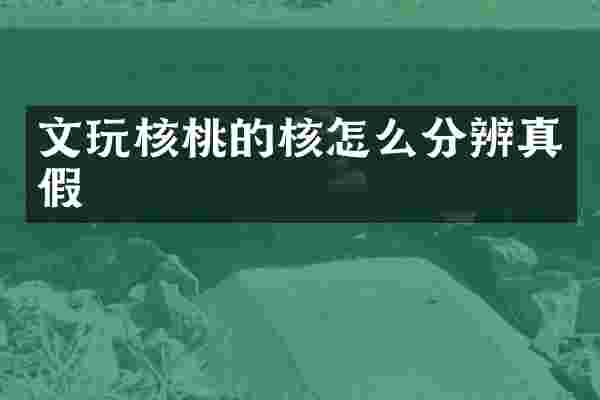 文玩核桃的核怎么分辨真假
