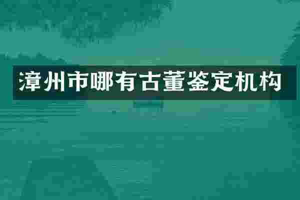 漳州市哪有古董鉴定机构