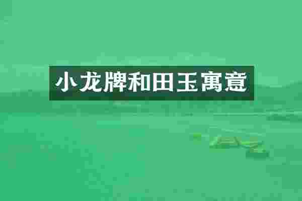 小龙牌和田玉寓意