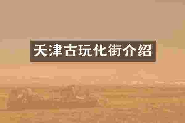 天津古玩化街介绍