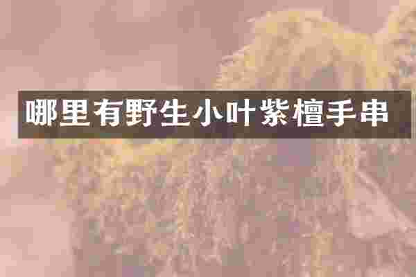 哪里有野生小叶紫檀手串