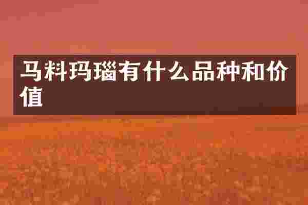 马料玛瑙有什么品种和价值
