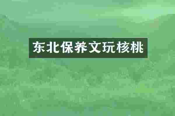东北保养文玩核桃