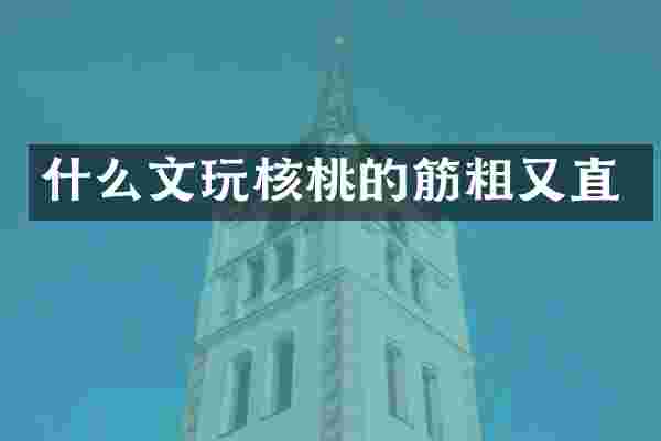 什么文玩核桃的筋粗又直