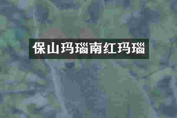 保山玛瑙南红玛瑙