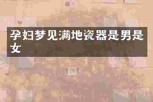 孕妇梦见满地瓷器是男是女