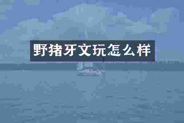 野猪牙文玩怎么样