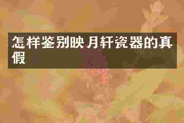 怎样鉴别映月轩瓷器的真假