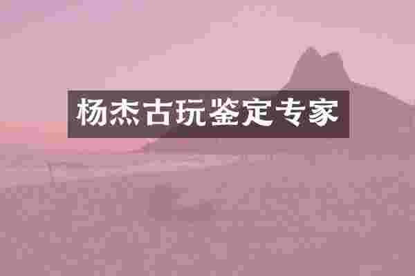 杨杰古玩鉴定专家