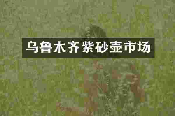 乌鲁木齐紫砂壶市场