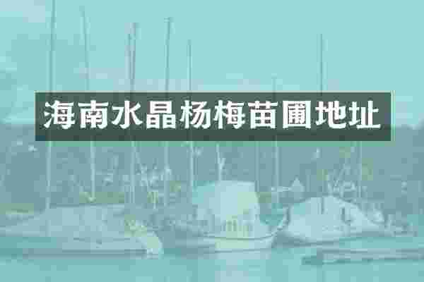 海南水晶杨梅苗圃地址