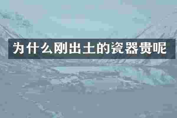 为什么刚出土的瓷器贵呢