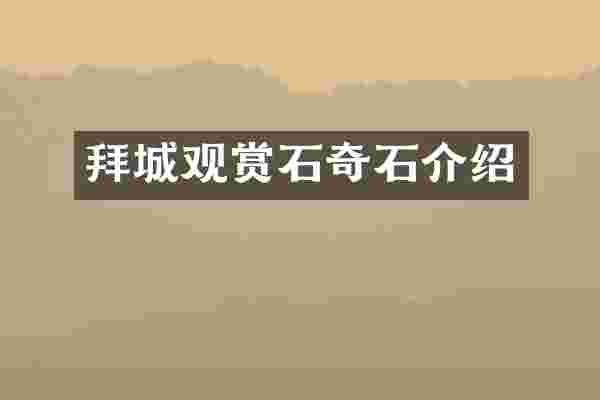 拜城观赏石奇石介绍