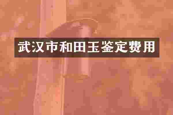 武汉市和田玉鉴定费用