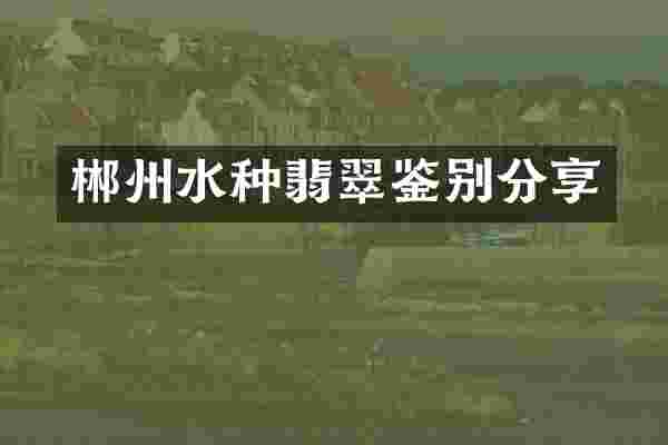 郴州水种翡翠鉴别分享