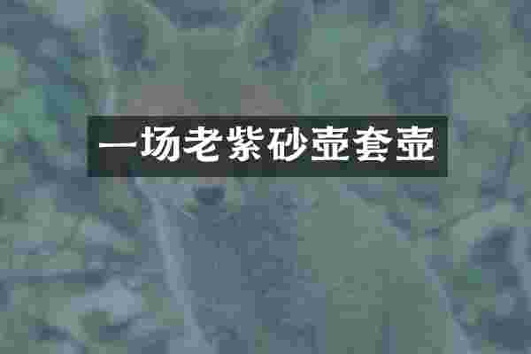 一场老紫砂壶套壶