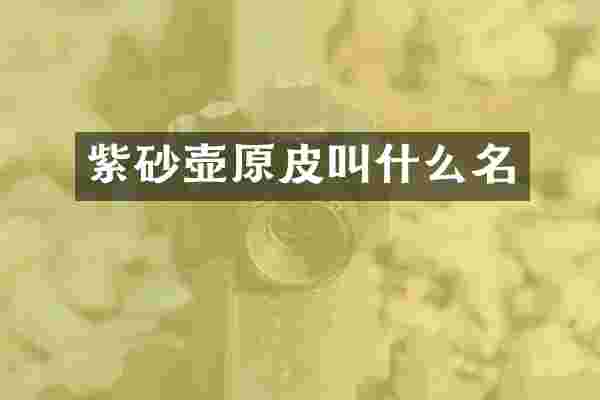 紫砂壶原皮叫什么名