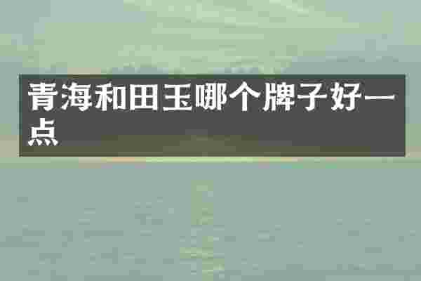 青海和田玉哪个牌子好一点