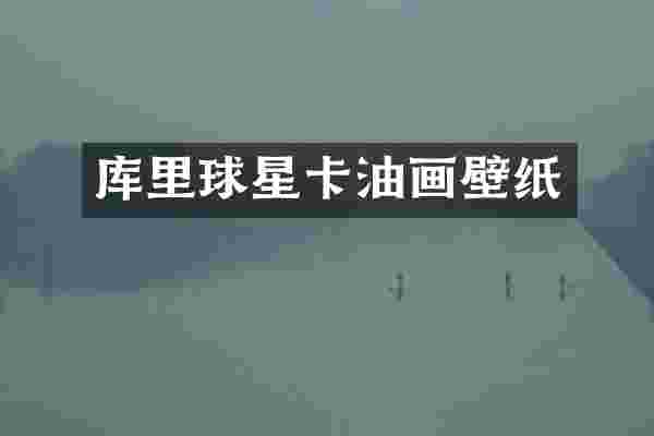 库里球星卡油画壁纸