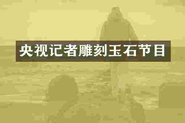 央视记者雕刻玉石节目