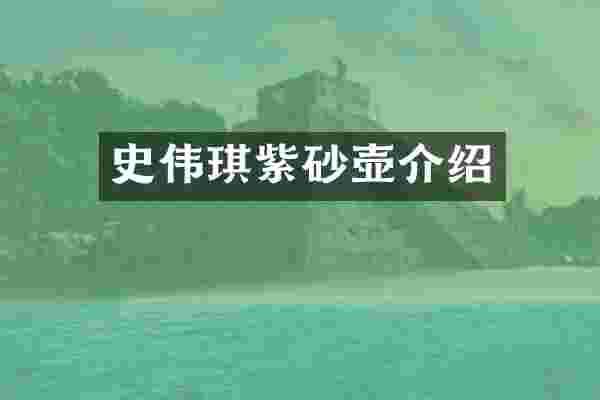史伟琪紫砂壶介绍