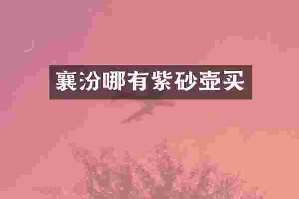 襄汾哪有紫砂壶买
